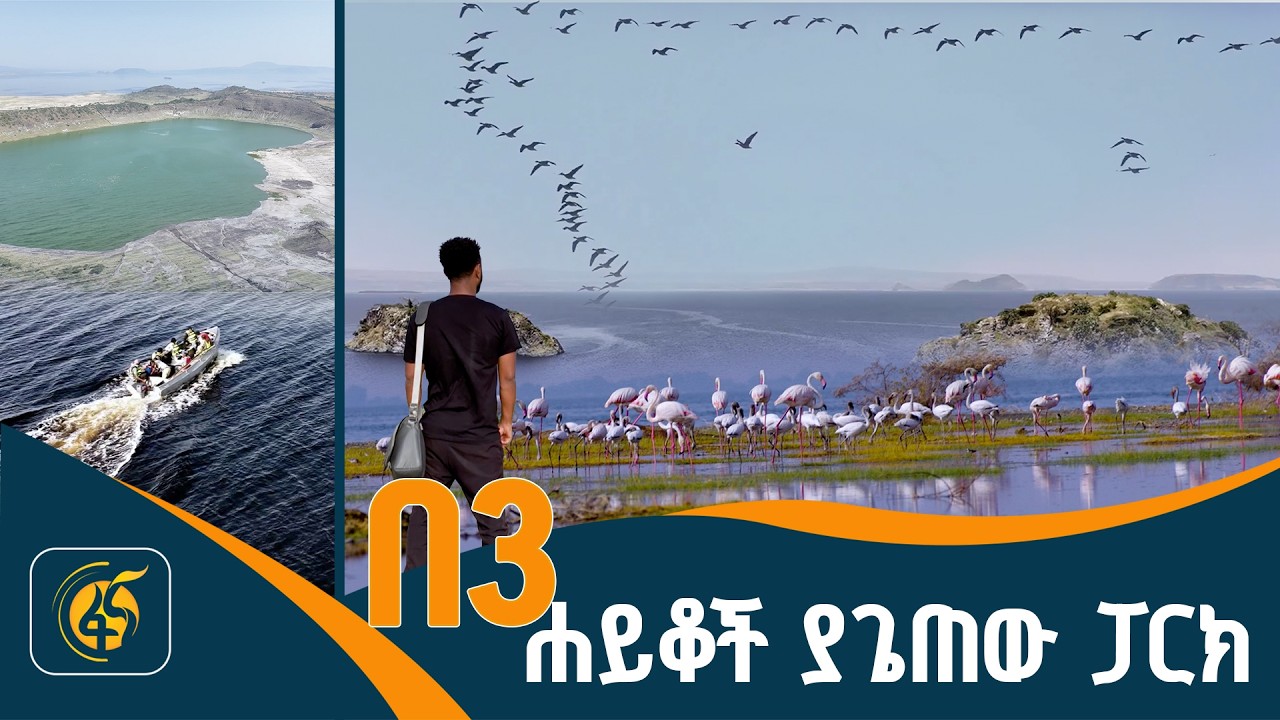 የአዕዋፍ ዓለም  |Ethiopia| Abijatta-Shalla National Park| Rift Valley|  Batu–Shashamane highway| Oromia