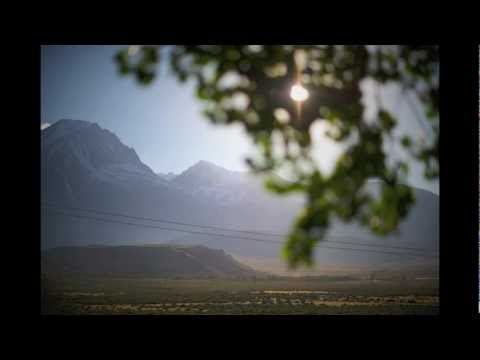 Android Cartel - Wake Up Call