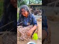 God Muruga Murga God Shivan Viralvideo Shorts Murugan