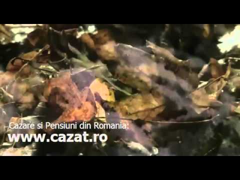 Cazare Bretelin, Hunedoara - Cazat.ro