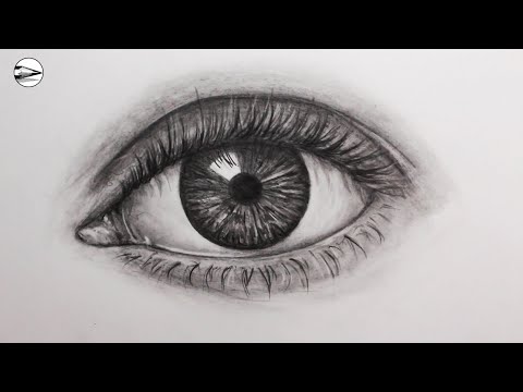 How to Draw a Realistic Eye Fast