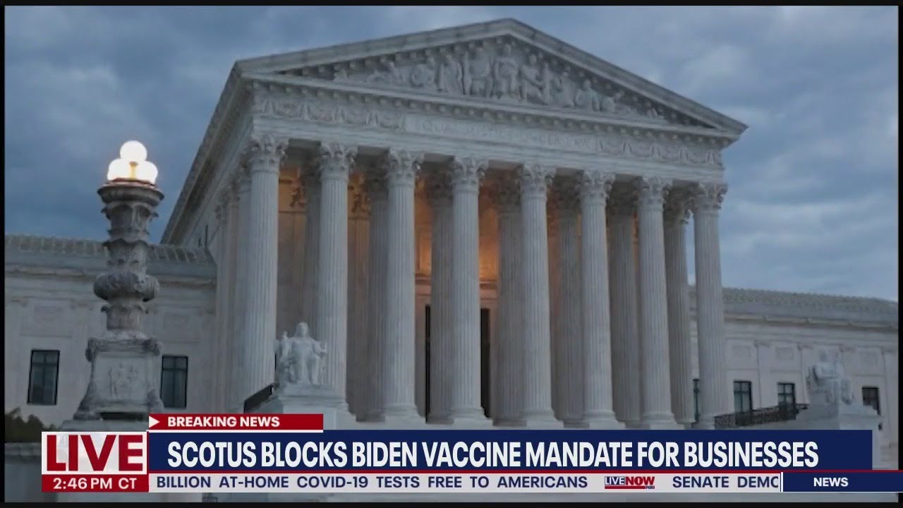Vaccine mandates in the workplace: What you need to know | LiveNOW from FOX