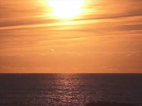 BAILA ESTO DIARIO Y TU VIDA CAMBIARA - PROGRAMACIÓN CEREBRAL