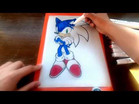 Sonic,  the hedgehog coloring.