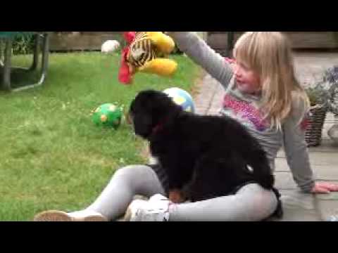 Quinty Dekkers en Kwiebes Engberts