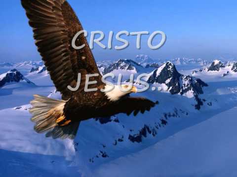 EL VOLVERA MARCOS WITT Y DANILO MONTERO LETRA