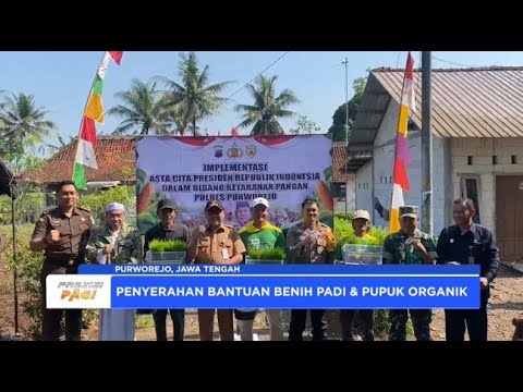 PURWOREJO MENYERAHKAN BANTUAN BENIH PADI DAN PUPUK ORGANIK