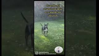 Una mushasha shula #shortviral #espinozapaz #unamushashashula