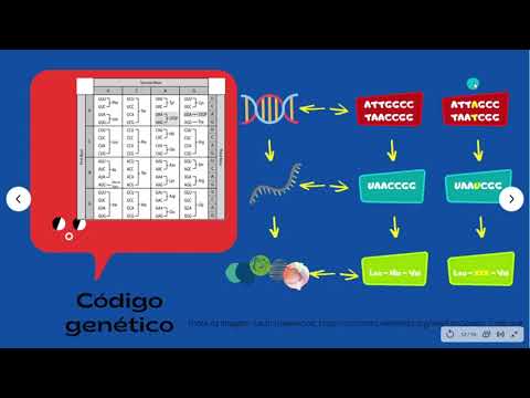 Aula sobre as Bases Moleculares da Herança