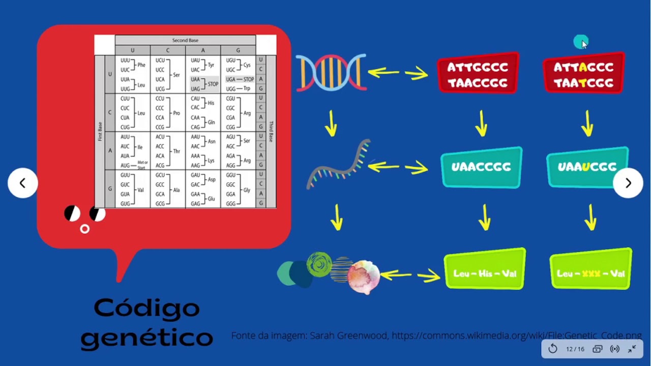 Aula sobre as Bases Moleculares da Herança
