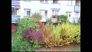 9961 SpyCam Helikopter - Outside