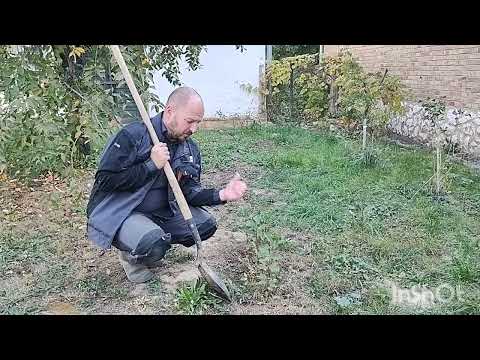 Mélymulcsos gyümölcsös telepítése 1. Rész #mélymulcs #mulcs #gyümölcs 