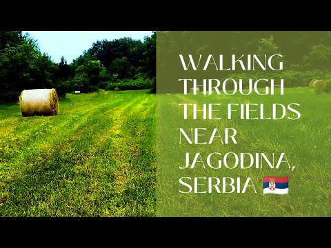 Walking Through the Fields near Jagodina, Serbia. 🇷🇸