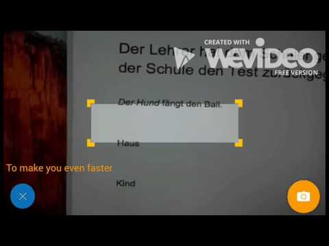 German Articles & Quiz Video