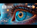 Endless Beauty In Stunning 4K HDR Dolby Vision Nature Demo At 60FPS