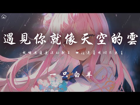 一隻白羊 - 遇見你就像天空的雲「我想逃進更深的夜裡 回憶追著我跑不出去」【動態歌詞/PinyinLyrics】♪