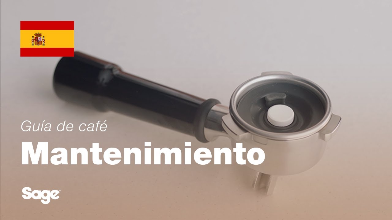 Cómo realizar una descalcificación