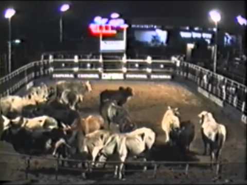 OURO FINO NOTICIÁRIO MUNICIPAL 13 BLOCO 5 - 24 DE DEZEMBRO DE 1993