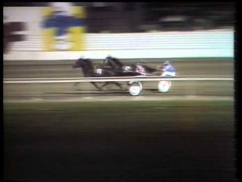 Harness Racing,Gloucester Park-02/05/1980 Match Race (Pure Steel v Satinover)