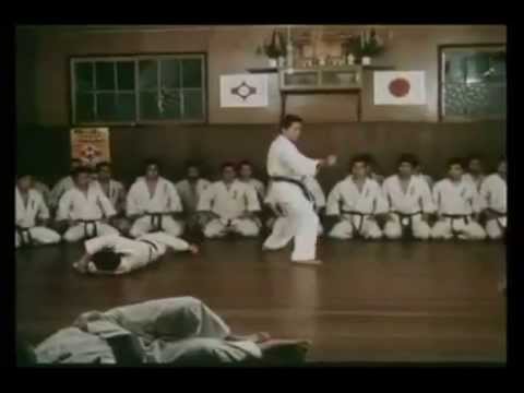 Ashihara Karate: Hideyuki Ashihara HL