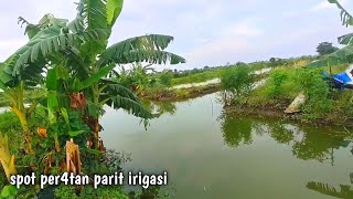 Download lagu Lama gak ada yang mancing‼️ ternyata parit dekat rumah ikannya sudah kembali melimpah ruah mp3 Download lagu Lama gak ada yang mancing‼️ ternyata parit dekat rumah ikannya sudah kembali melimpah ruah mp3