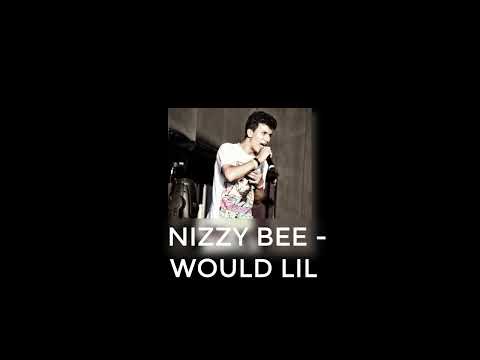 Nizzy bee - WOULD LIL