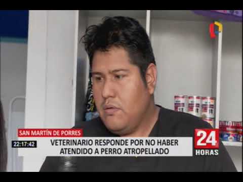 SMP: veterinario que se negó auxiliar a perro atropellado da su versión