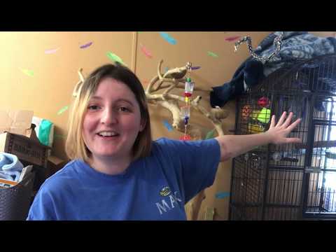 Sample Source Box. Free Samples