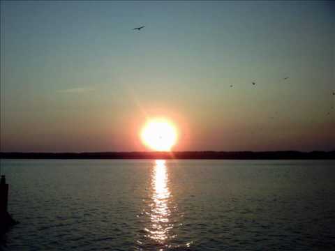 trus'me feat amp fiddler - can we pretend-put it on me.wmv