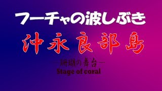 preview picture of video 'フーチャ[FUCHA]波しぶき★沖永良部島'