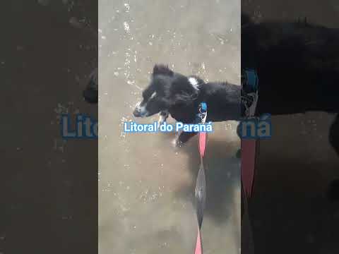 Matando a saudade do mar no litoral do Paraná,Pontal linda cidade🌊♥️