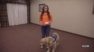 SDWR Training Get Help