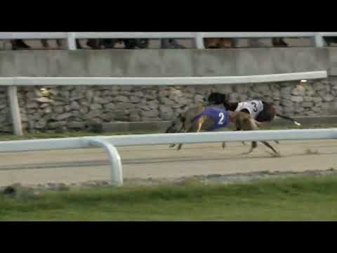 2023.06.30 4. FUTAM - KINCSEM PARK SPRINT DERBY CONSOLATION