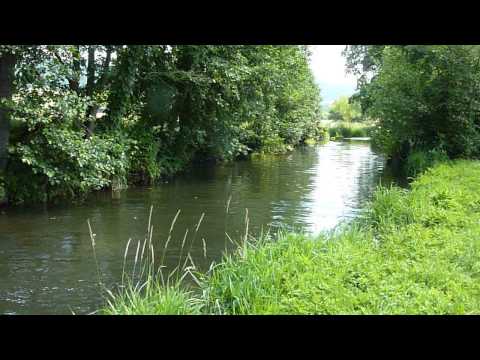 Jamie die Wasserratte