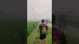 Download lagu Story Wa Kata-kata Pesilat IPSI mp3 Download lagu Story Wa Kata-kata Pesilat IPSI mp3