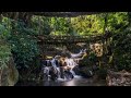 DOUBLE DECKER ROOT BRIDGE MEGHALAYA SHORTS