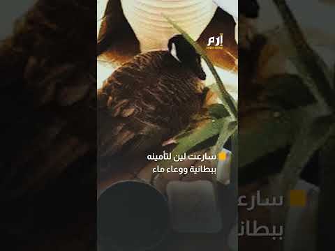 أسرة مذعورة واستنفار للشرطة.. والسبب ضيف غير متوقع 