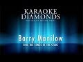 Barry Manilow - I Don't Want To Walk Without You