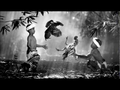 Asaf Avidan - Different Pulses (Joris Delacroix Remix)