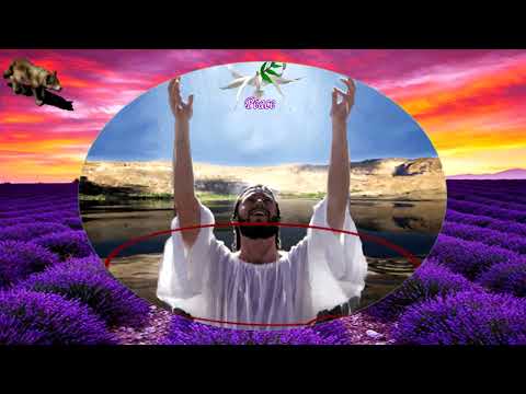 VLATKA POKOS-MIR, PRAVI MIR (TEKST)