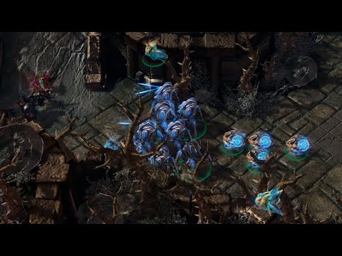 Parting vs Flash - Homestory Cup X Grand Finals - Terran vs Protoss - Full VOD