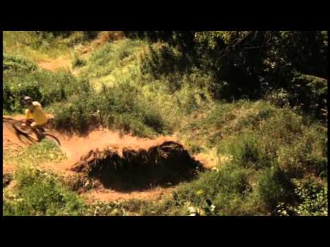 New World Disorder 10 - Wayne Goss