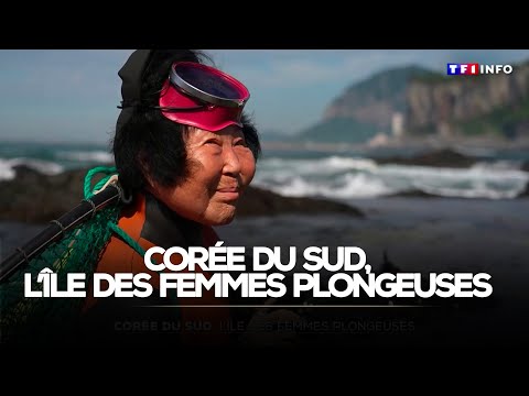 Direction la Corée du Sud, à la découverte de l'île des femmes plongeuses｜TF1 INFO