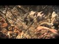 Shearwater - "Hidden Lakes" (official video ...