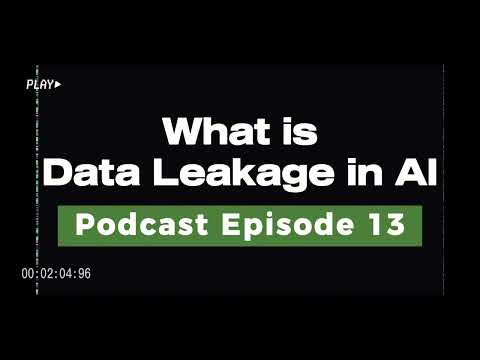 AI Podcast Ep13: What is Data Leakage