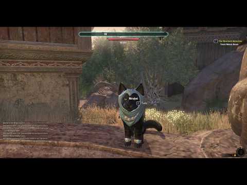 Elder Scrolls Online Nirahni The Alfiq