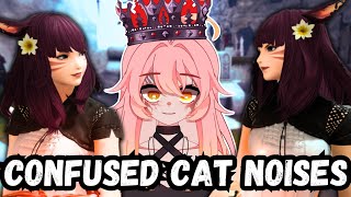 Final Fantasy 14 - Theres SO MANY CATS!