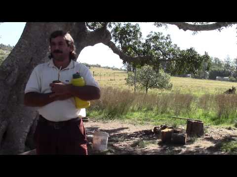 VIDEO VUELTA DEL PALMAR