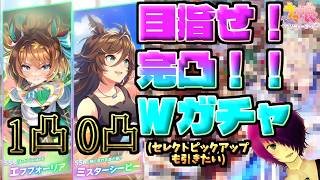 【ウマ娘プリティーダービー】天井続きのガチャにいい加減飽き飽きしてたとこだ！「ミスターシービー&エフフォーリア サポカガチャ」！！【ガチャ配信 】