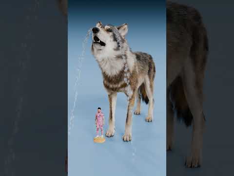 Frog Crying vs Elephant Crying